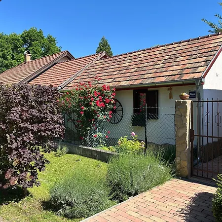 Csaol Haz * ולנצה